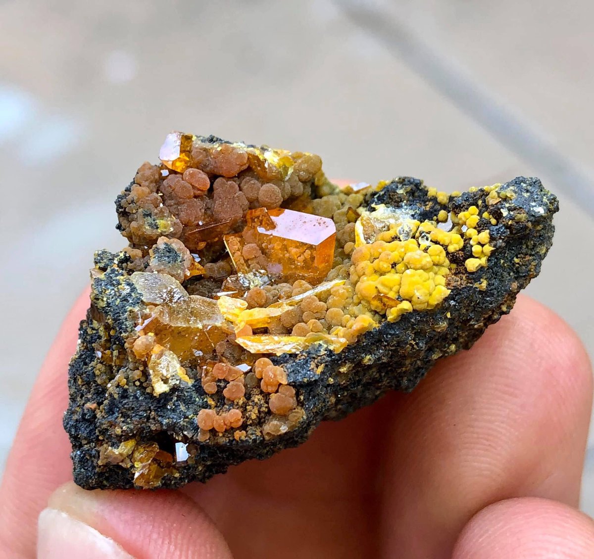 exoticcrystals's tweet photo. ✨Stunning Wulfenite with Mimetite from San Carlos, Mexico⚜️ #wulfenite https://t.co/XcVWmzK2qk