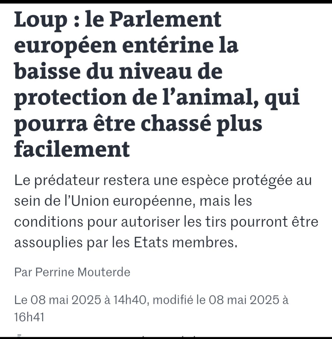 Fabrice Moscheni tweet media