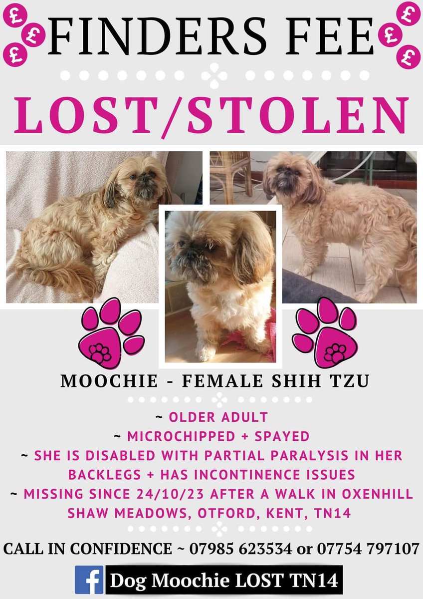 Missing Pets GB tweet media