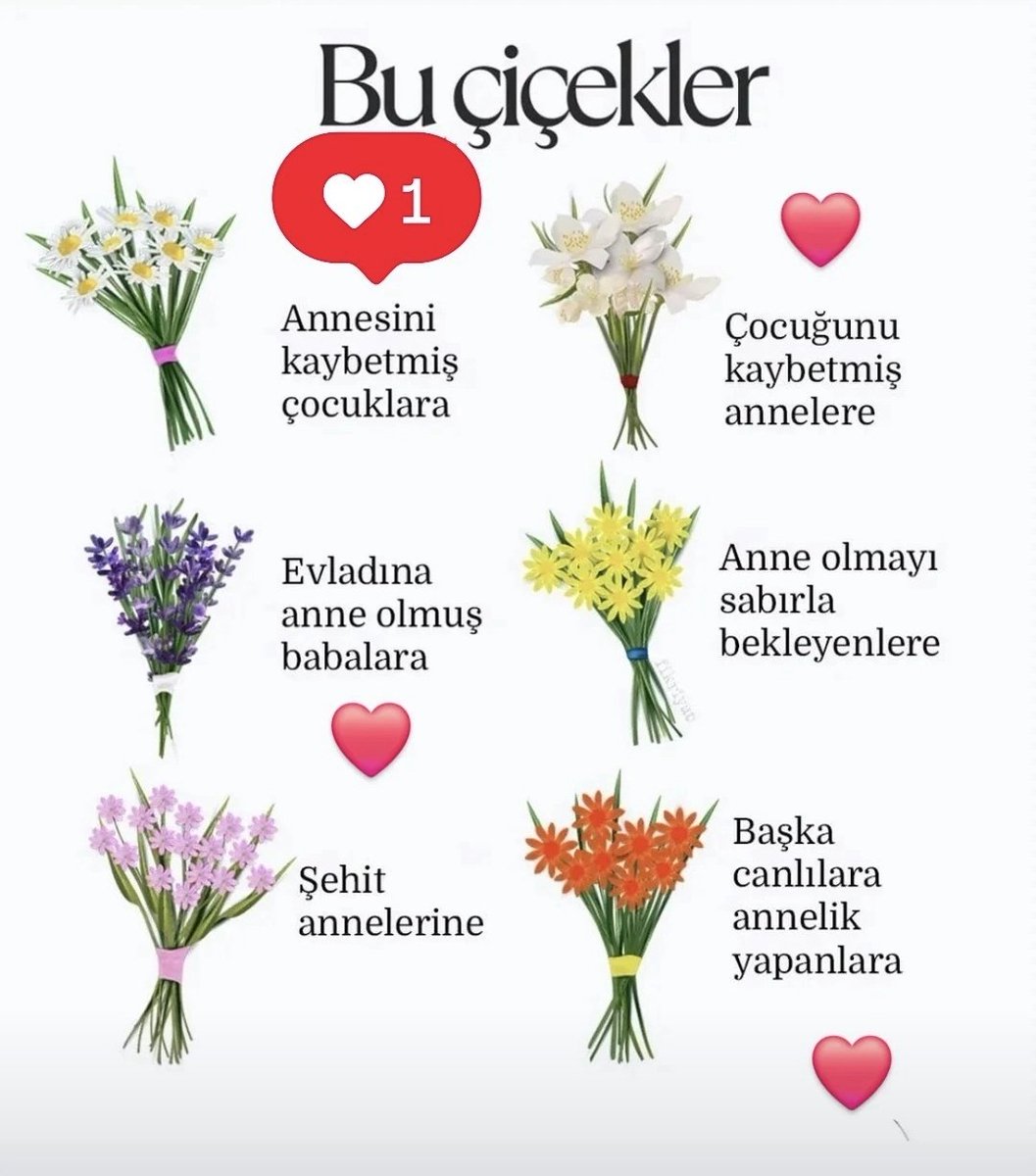 Sinanpaşa İlçe Milli Eğitim Müdürlüğü (@sinanpasamem) on Twitter photo 