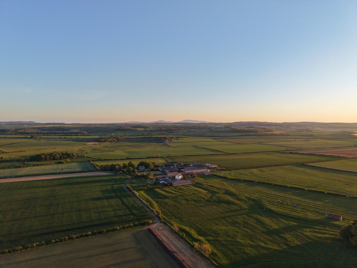 Yard actually looks tidy from up here
