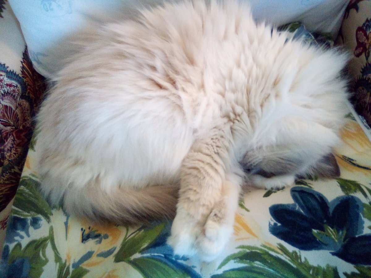 Jingley5's tweet photo. I love sleeping on my footie! Happy Mother's Day everyone ❤️ https://t.co/efGD0aeJ3B