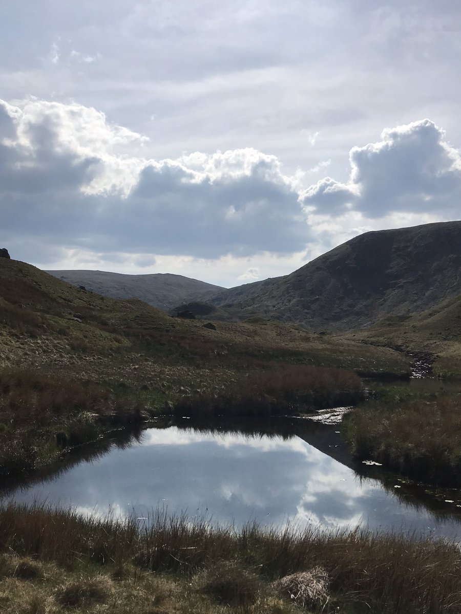 little_light6's tweet photo. #Wainwright #Ullscarf #HighRaise #SergeantMan #LakeDistrict #80down134togo
Cracking day on the ⛰…10 miles, 3 Wainwrights, gorgeous sunshine…am absolutely broken now but🍺 is helping…may need airlifting to work tomorrow…🤦♀️😂😂 https://t.co/uVuVAzbK69