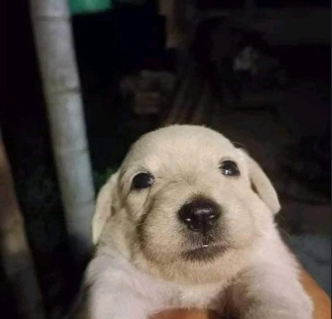 EXOSSI (@oct4vioo) on Twitter photo 