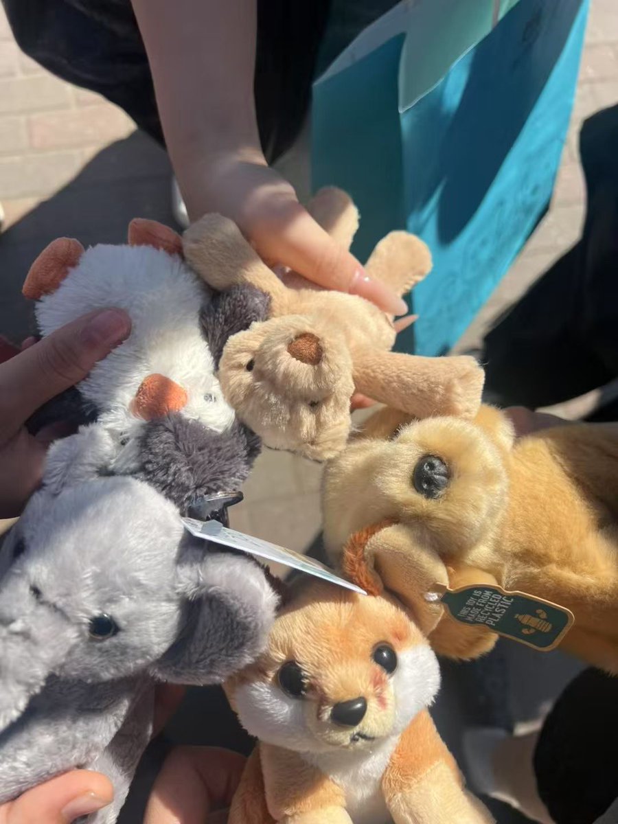 ihsboarding's tweet photo. A weekend trip to @ColchesterZoo for @IpswichHigh boarders. #iloveboarding @BSAboarding https://t.co/IbZ0lZqY7c