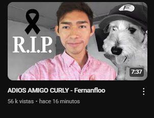 Fernanfloo, en su video más reciente, confirmó que Curly ya no está con nosotros. 😭
