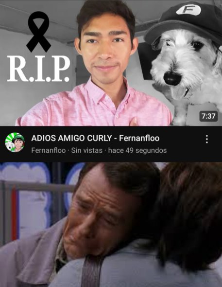 Lois,se fue Curly ;(💔🕊