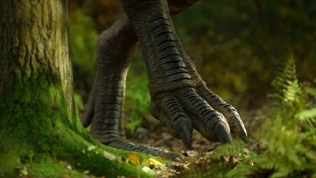 raftingzalmoxes's tweet photo. #PrehistoricPlanet #LifeOnOurPlanet #WWD2025
Tyrannosaurid feet. https://t.co/2nR1NDFv5c