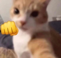 Excel Durant tweet media