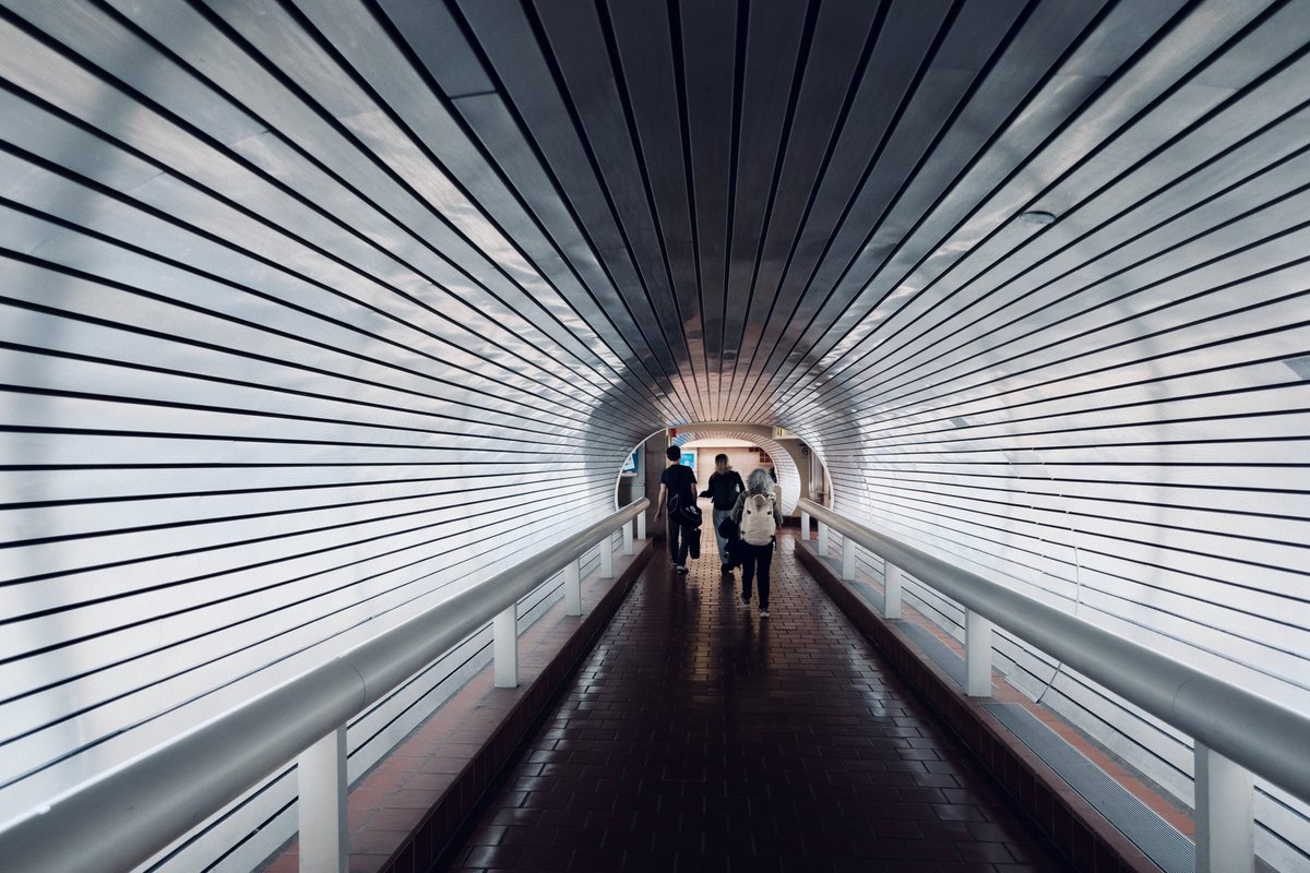 Matt Nelson tweet media