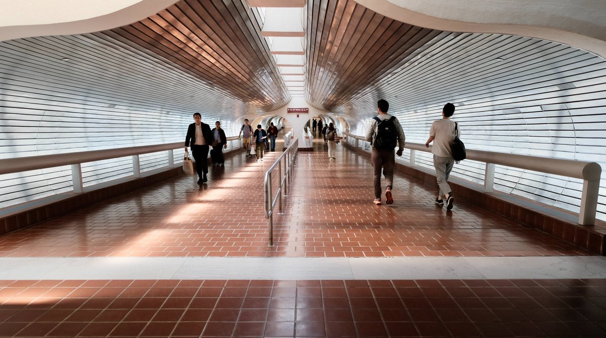 Matt Nelson tweet media