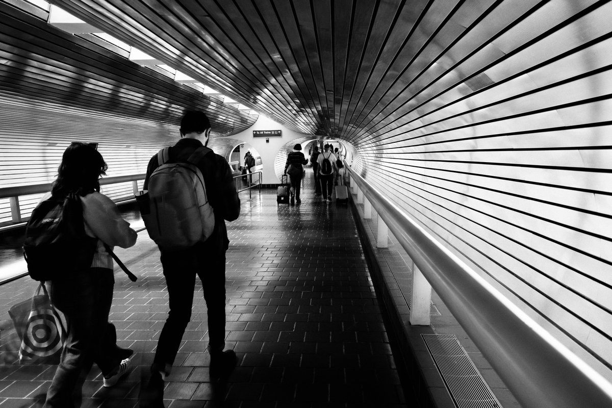 Matt Nelson tweet media