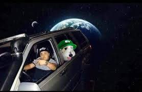 Ya el pirata fue por Curly 😭😭😭