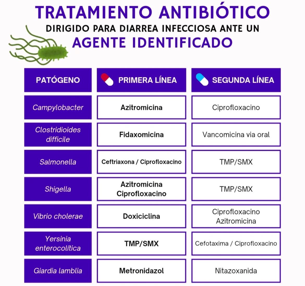 JulioFdez79's tweet photo. TRATAMIENTO ANTIBIÓTICO 👀👇
📸Dr. Gale https://t.co/vwecWDvAaW