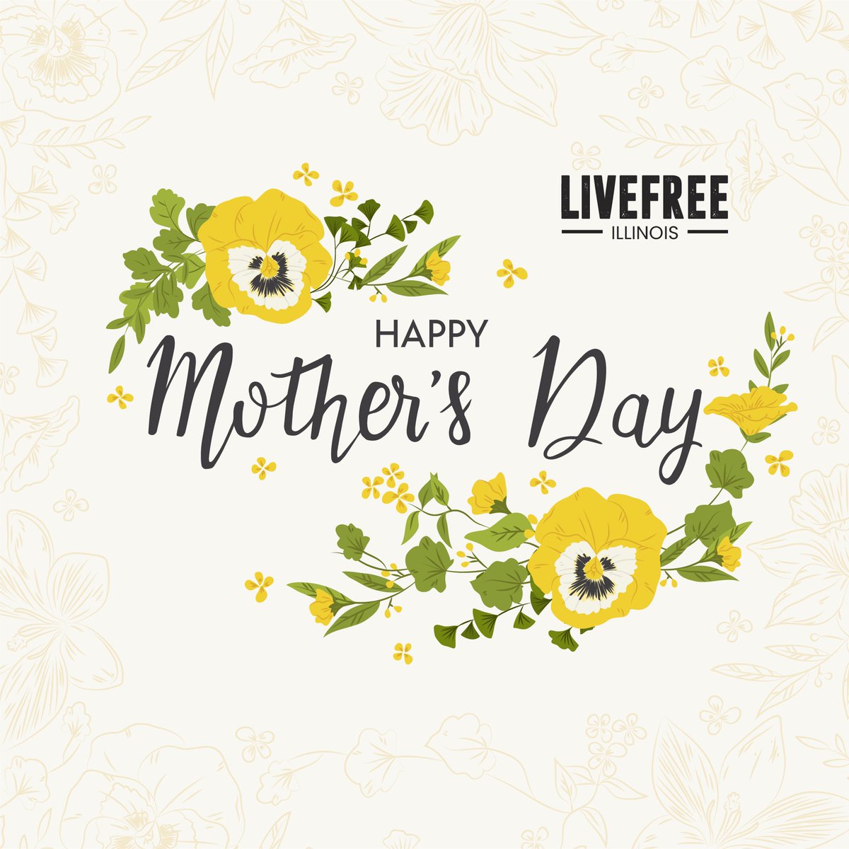 Wishing all the amazing moms and mother figures a Happy Mother’s Day from Live Free Illinois! 💐 Your love, strength, and wisdom inspire us every day. Today we celebrate you-the heart of every family and the reason we call it home. #MothersDay #LiveFreeIllinois