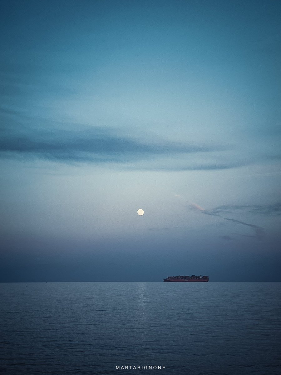 Marta Bignone tweet media