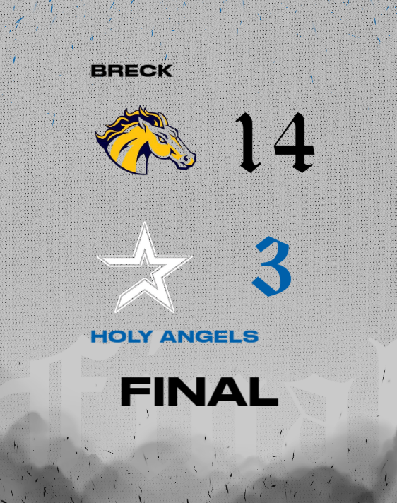 Holy Angels Baseball tweet media