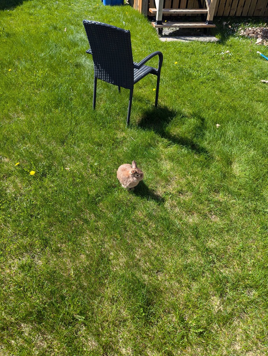 first sunny day of spring yippee