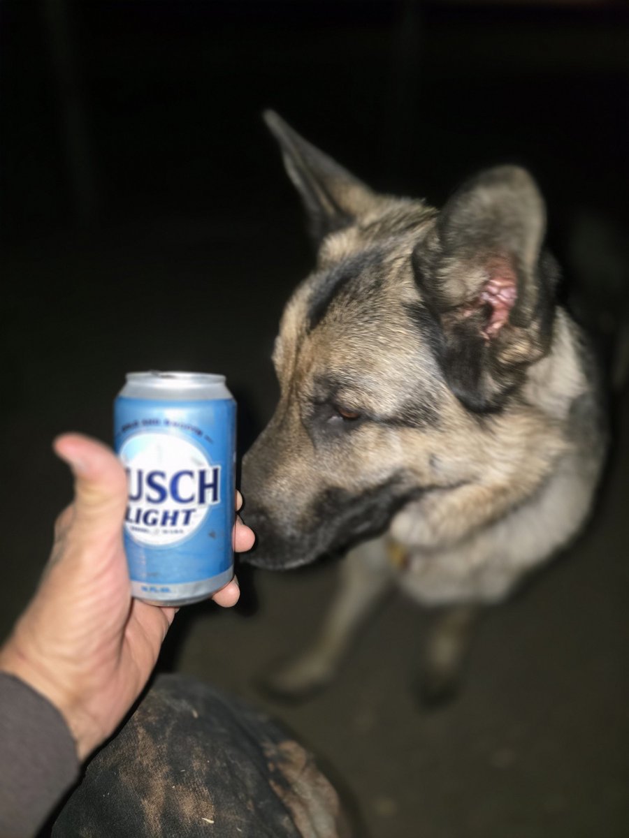 GWatsabaugh's tweet image. #BuschAllFor1