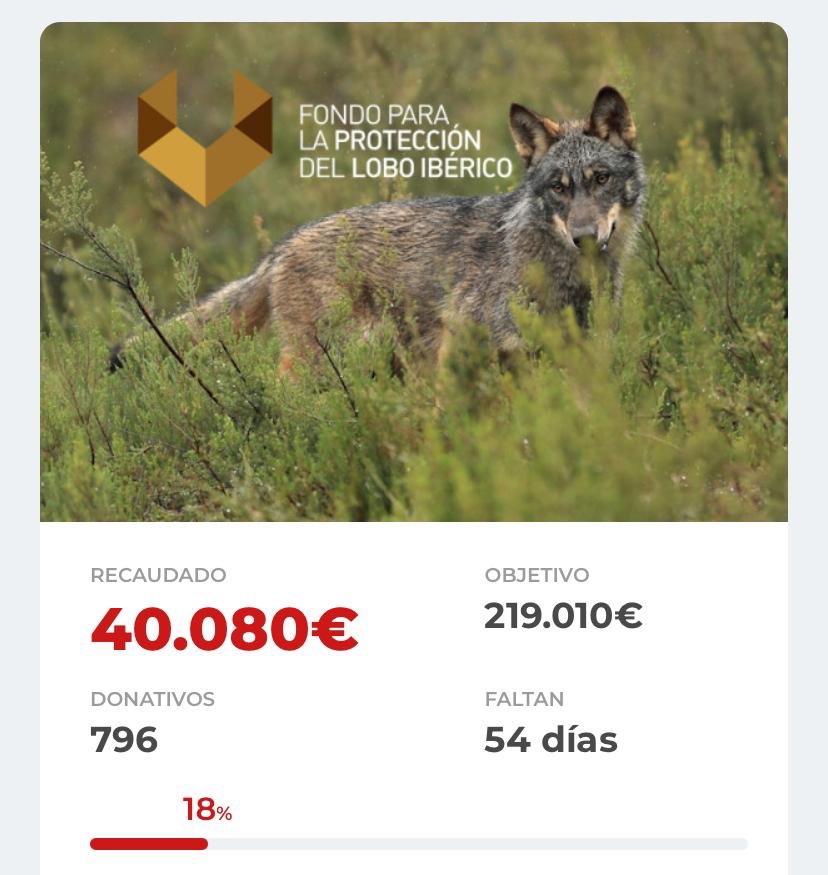 ErnestodMartin's tweet photo. Venga, todo dios arriba que seguimos y ya no paramos hasta la siguiente: 50k

🐺 https://t.co/fKZ5F7ozXD 🐺 https://t.co/iZzdX9b1wJ