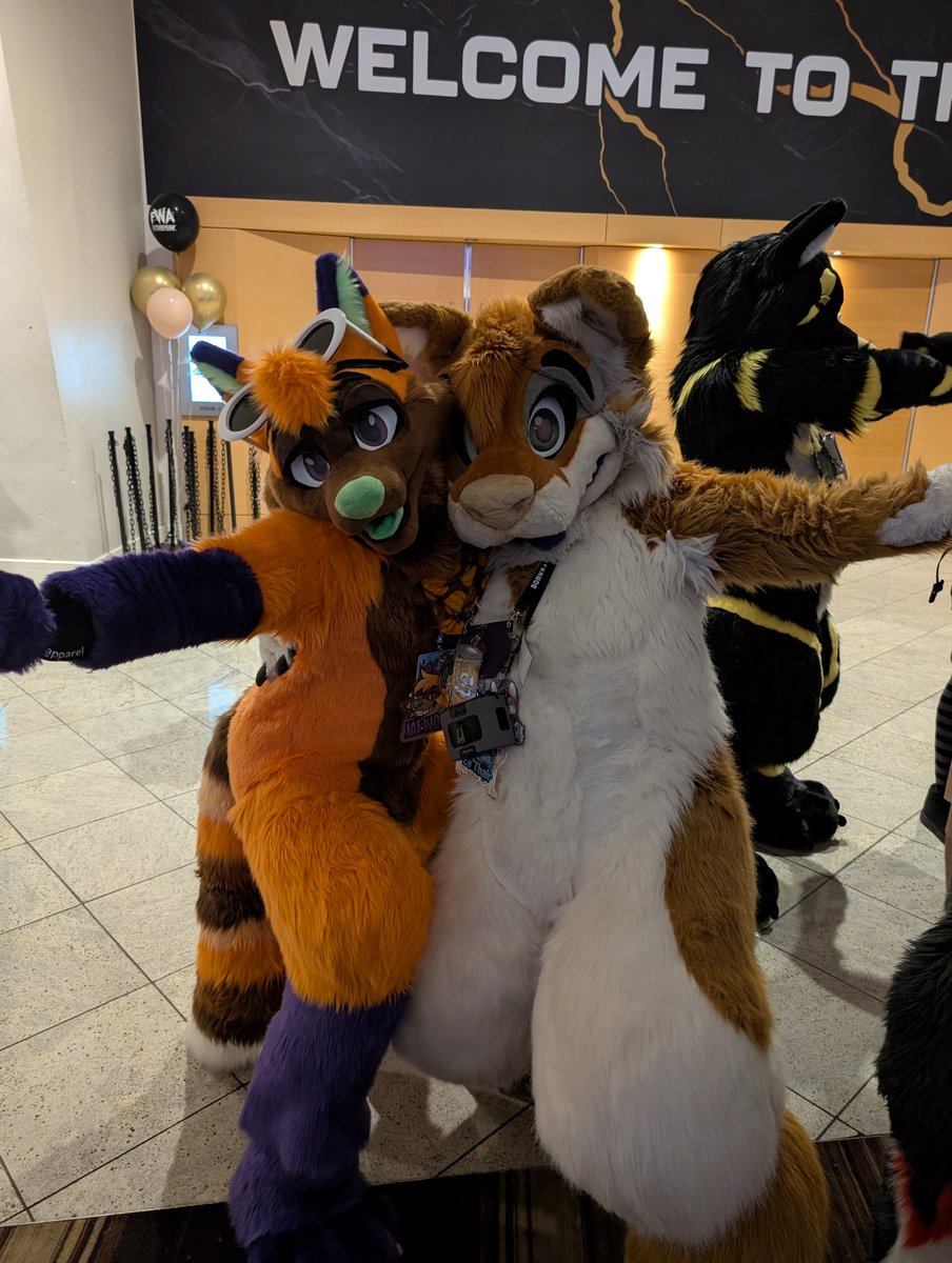 ConfusedFoxcoon's tweet image. First time fullsuiting this #FWA2025 and it was like a movie, A great time and unforgettable moments were had
.....And next time I'll drink more water 😅
#furry #fursuit
🧵: @TwistedLeopard