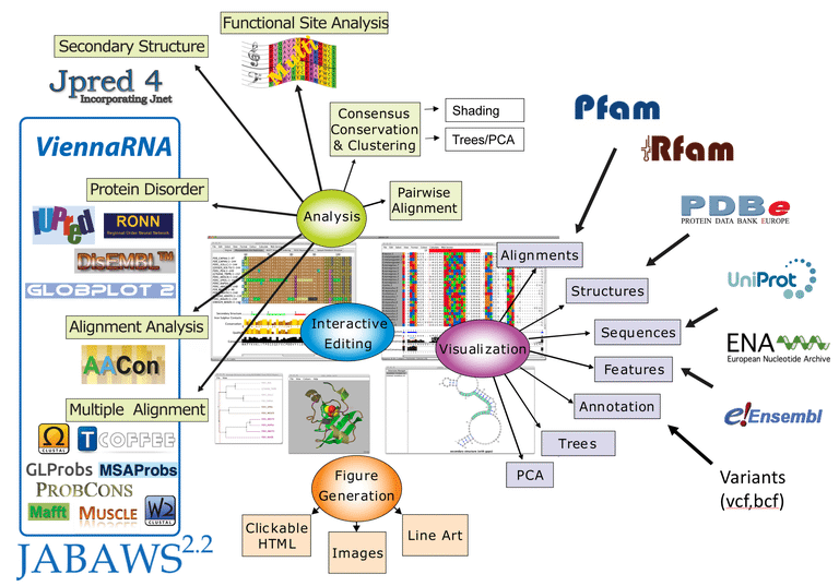 Ryan sikorski tweet media