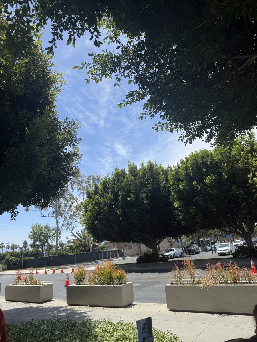 bunbuncups's tweet photo. we are here!!! by the benches with smtown la freebies!!!! https://t.co/P6mQpkN262