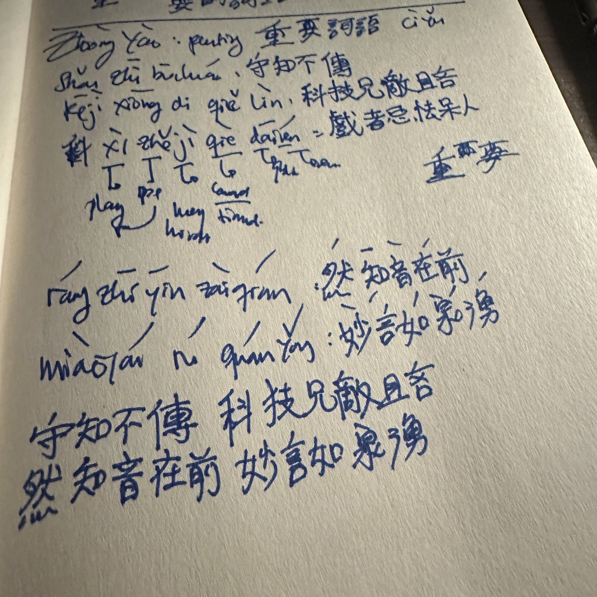 A very bad attempt for hand-write my own slogan.

大家，看看我醜陋的字跡！哈哈哈哈死