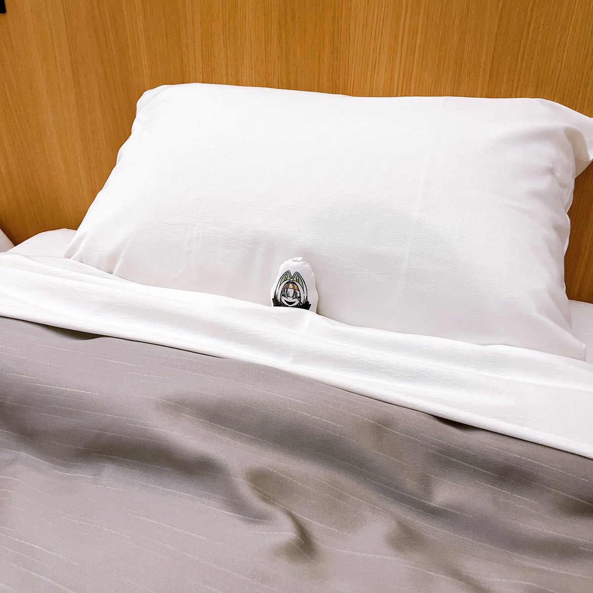 電球食人びゃッこパス tweet media