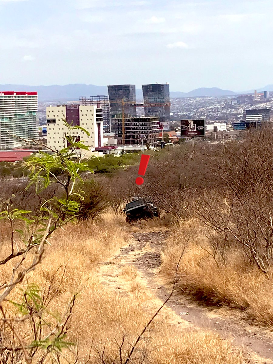 Guerrer@s Guardianes México tweet media