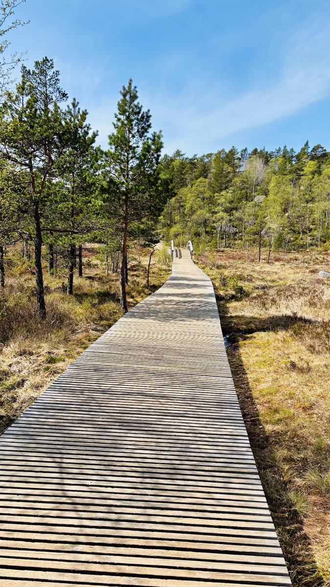 RobWust's tweet image. Great time and lots of new ideas (patient-initiated!) at the @MEforeningen conference on Long Covid and ME/CFS in Stavanger, Norway. Super nice to meet @PutrinoLab @kjtronstad @C_Scheibenbogen and many others again. Norway is beautiful!