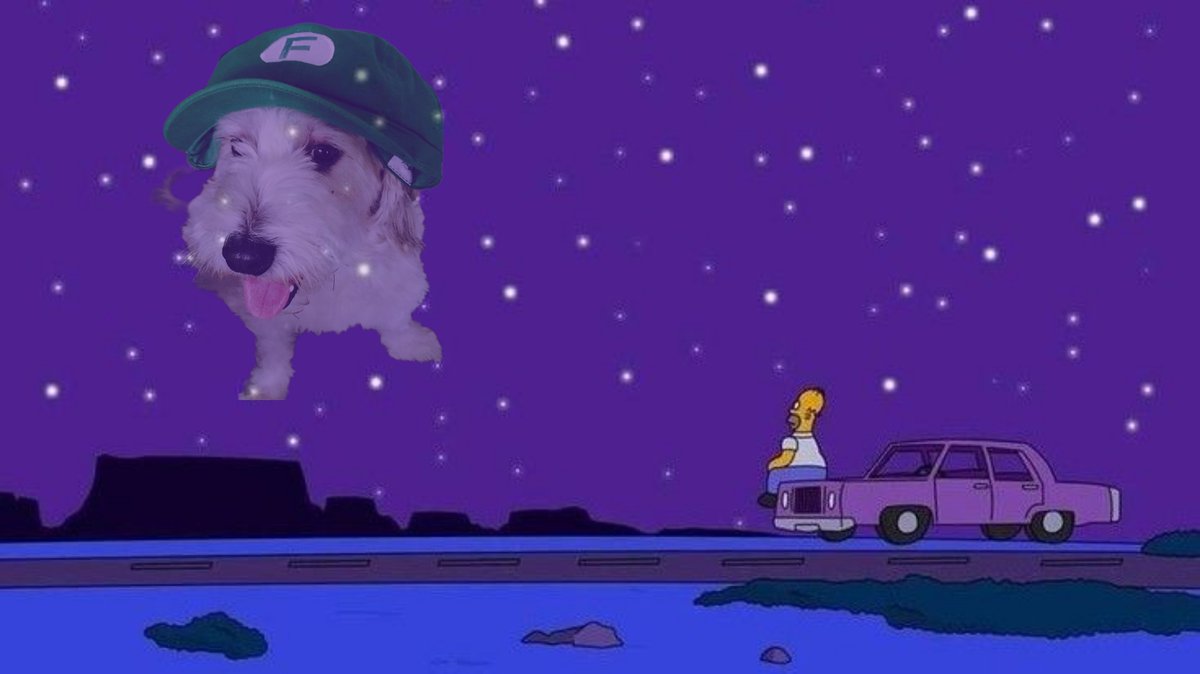 "Curly":
Porque desafortunadamente hay fallecido el perrito del Youtuber Fernanfloo.