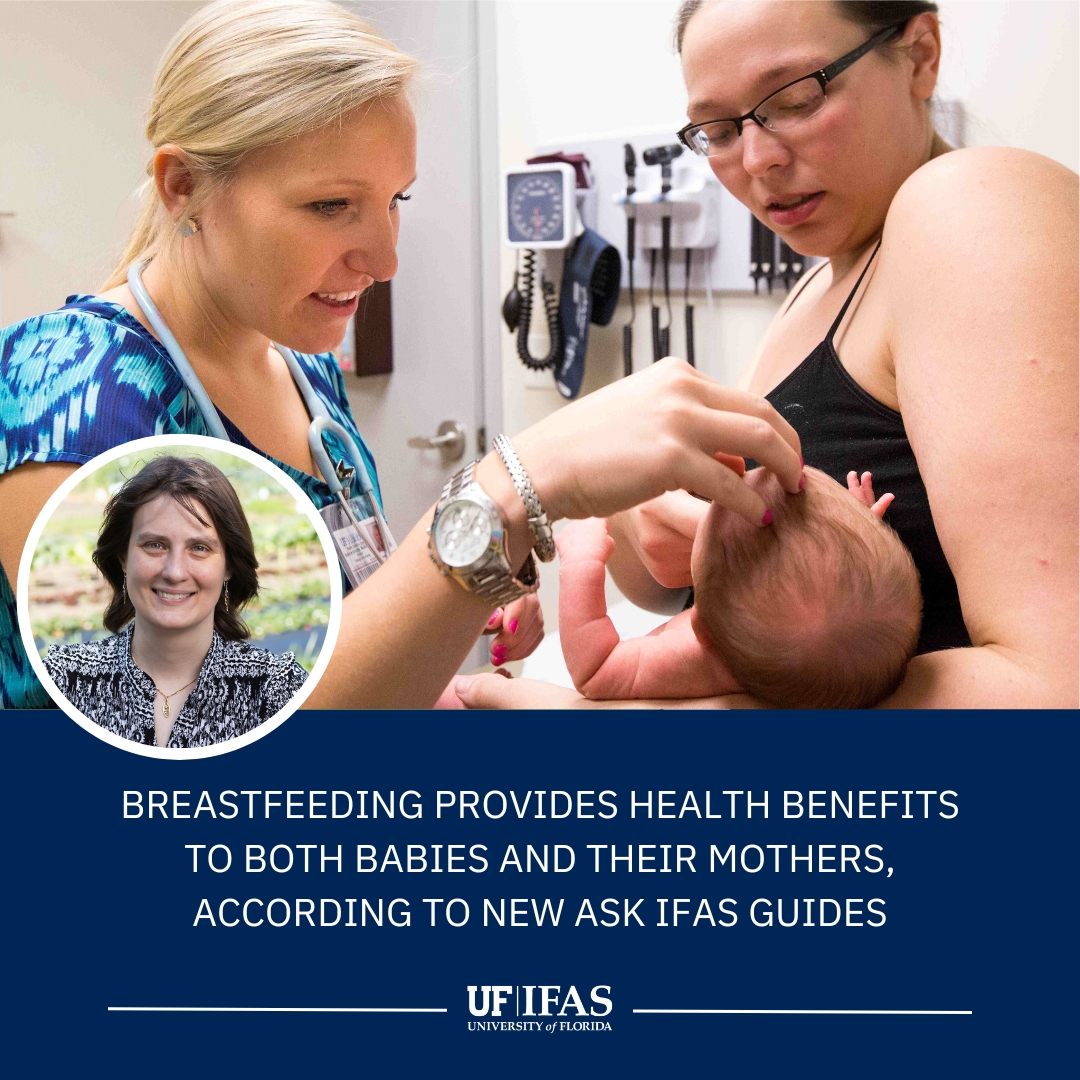 UF IFAS Solutions (@uf_ifas) on Twitter photo Florida's breastfeeding rate is the 3rd lowest in the country. Newly released <a href="/UF_FSHN/">UF/IFAS Food Science & Human Nutrition Department</a> guides encourage mothers to consider breastfeeding due to its numerous health benefits.
Access the guides 🔗 go.ufl.edu/c846n9l Florida's breastfeeding rate is the 3rd lowest in the country. Newly released <a href="/UF_FSHN/">UF/IFAS Food Science & Human Nutrition Department</a> guides encourage mothers to consider breastfeeding due to its numerous health benefits.
Access the guides 🔗 go.ufl.edu/c846n9l