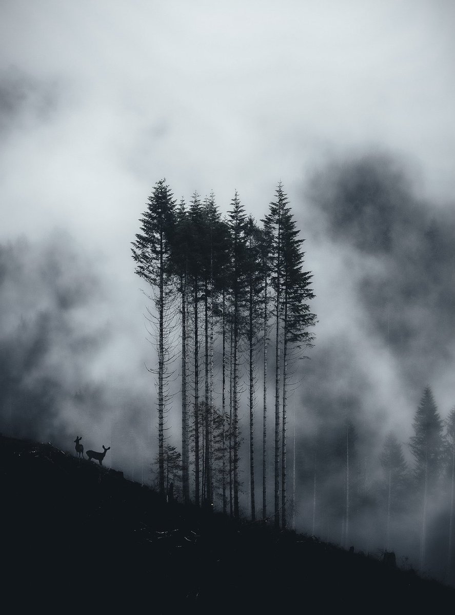 Earth is beautiful