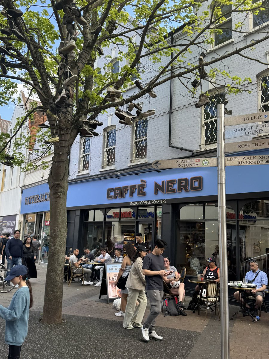 Rafed Ali tweet media