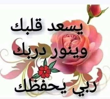 اذا تابعت حسابي الله يبارك فيك وفي عمرك وفي حياتك ويسعد قلبك وينور دربك 🌹🌹