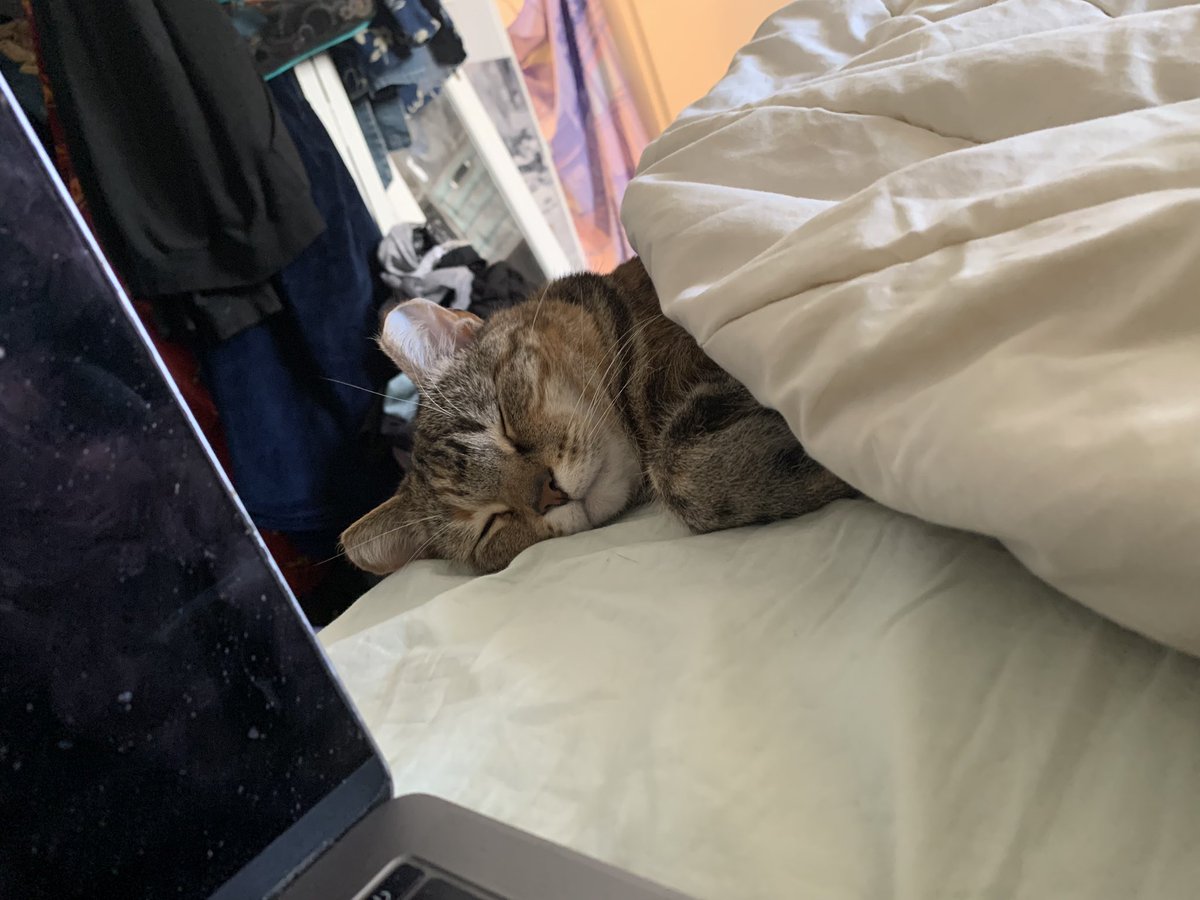 MyerClarity🔂 (@thatmyerclarity) on Twitter photo 