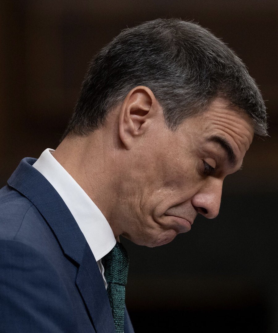 M.Pilar de la Osa tweet media