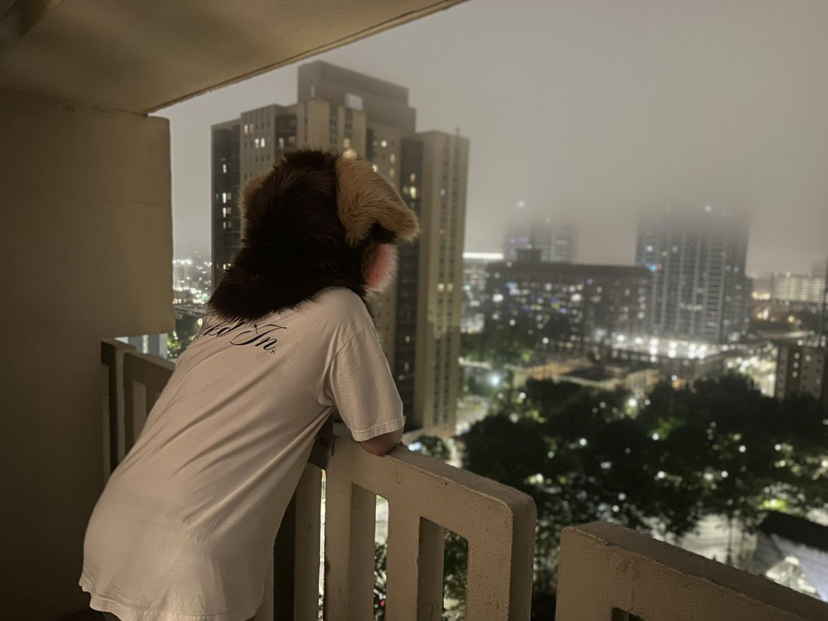 One of the things I don’t like about bigger conventions like FWA with a nice fursuit made by a big maker.  Lots of people say they love your suit, take pictures, etc.   You don’t get party invites, asked if you’re doing ok, how are you changing the world, etc. A bit superficial.
