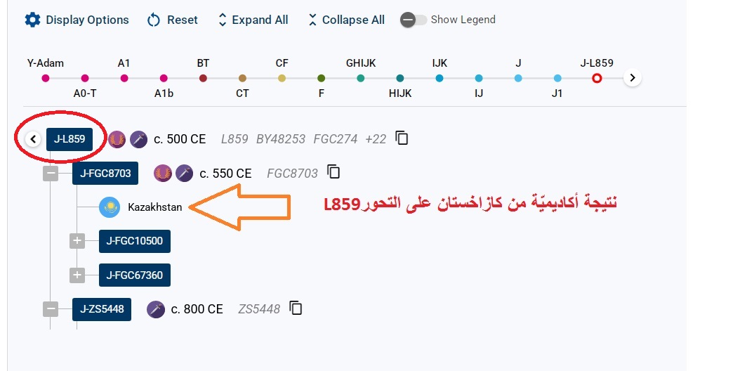StudiesHuman's tweet image. شركة FTDNA تضيف نتيجة  أكاديميّة من كازاخستان على التحور L859 الي قاعدة بياناتها , العينة من دراسة سلّطت الضوء على عيّنات تاريخيّة وحديثة وامتدادها الجغرافي في أوراسيا، ورقمها Uzbek-8 / Y21100000492503.
علماً بأن قبائل الخزر التركية  لها نتائج على J-FGC8712 سلف التحور  J-L859 .