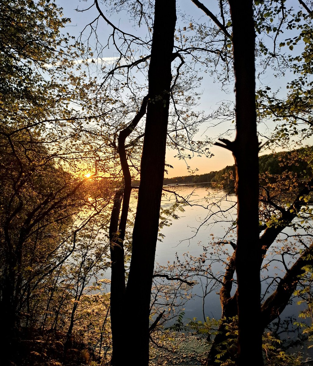 chriz31_07's tweet image. Let’s see your backlit photos! ☀️