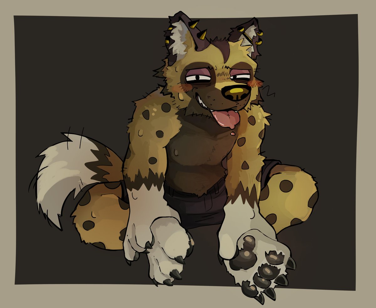 kyle animal crossing again