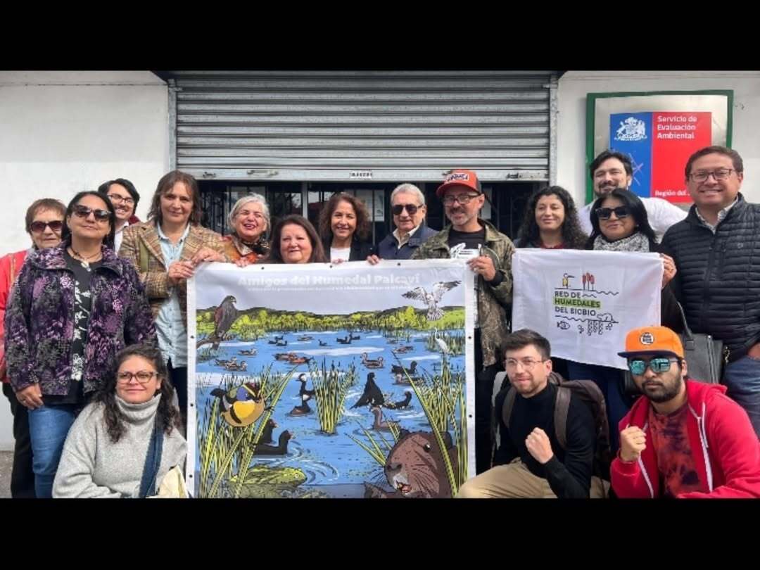 #defendamosloshumedales 

Hemos solicitado al SEA la Participación Ciudadana en la evaluación ambiental del 2do proyecto inmobiliario “Fuentes de Aníbal Pinto”, que pretende rellenar 2200 mt2 para edificar 350 deptos. en el #humedalpaicaví de #Concepción