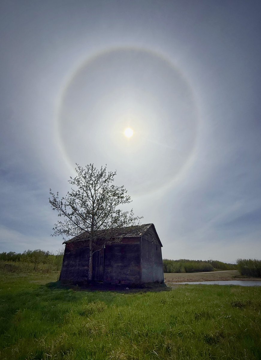 What a good day it’s been so far!
Taken near Alix
#Teamtanner <a href="/treetanner/">ᴛʀᴇᴇ ᴛᴀɴɴᴇʀ</a> <a href="/mikesobel/">Mike Sobel</a>