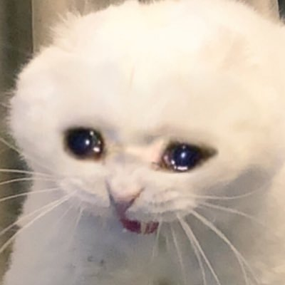 IShelok's tweet photo. Subscribe to my friend, he's making alpha.

@sadcat_gamble https://t.co/6Igw6UYPlo