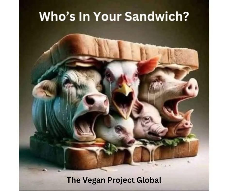 Dervilla(v) (@derviemoo) on Twitter photo 