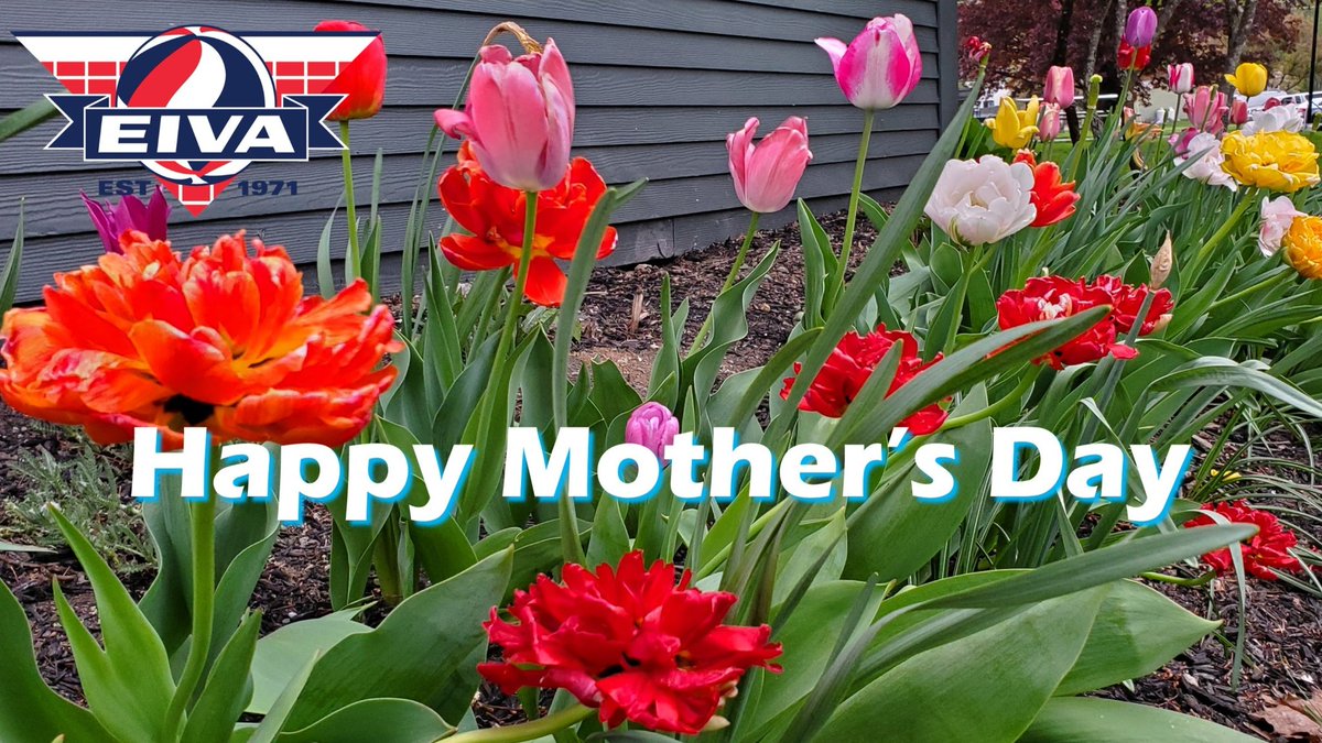 Sending a big Thank You to all the moms who helped us along the way