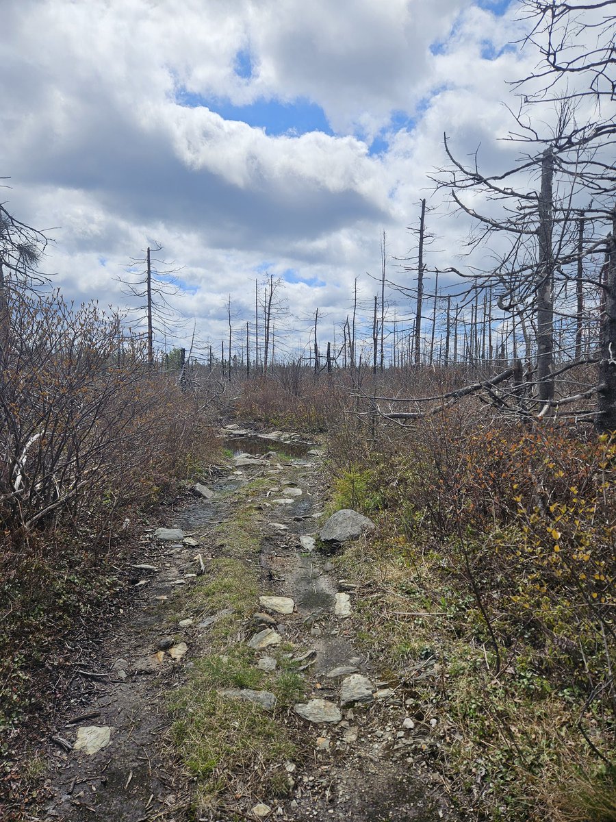 BDemun666's tweet photo. Today's Trails https://t.co/rrDTSEnatL