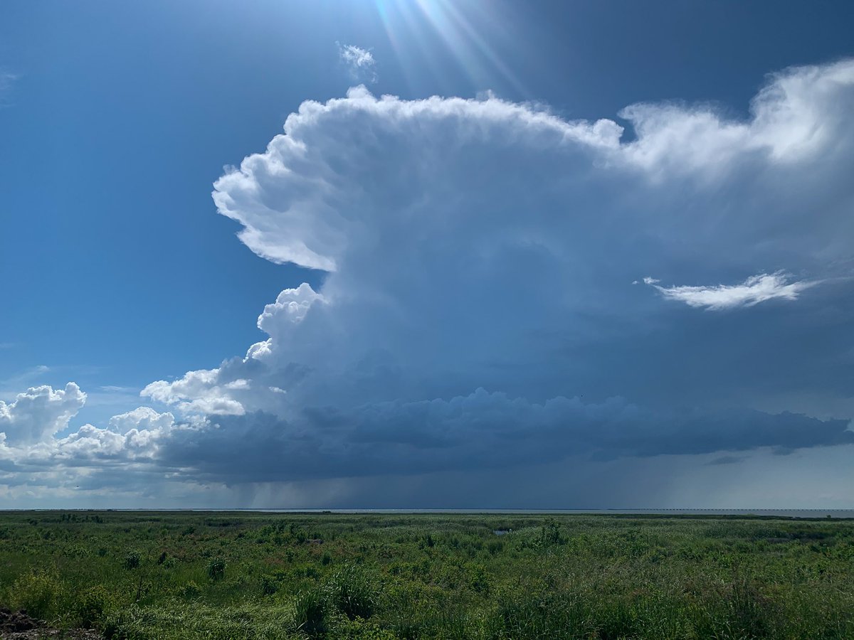 lolllsage's tweet image. first time ever seeing a wall cloud