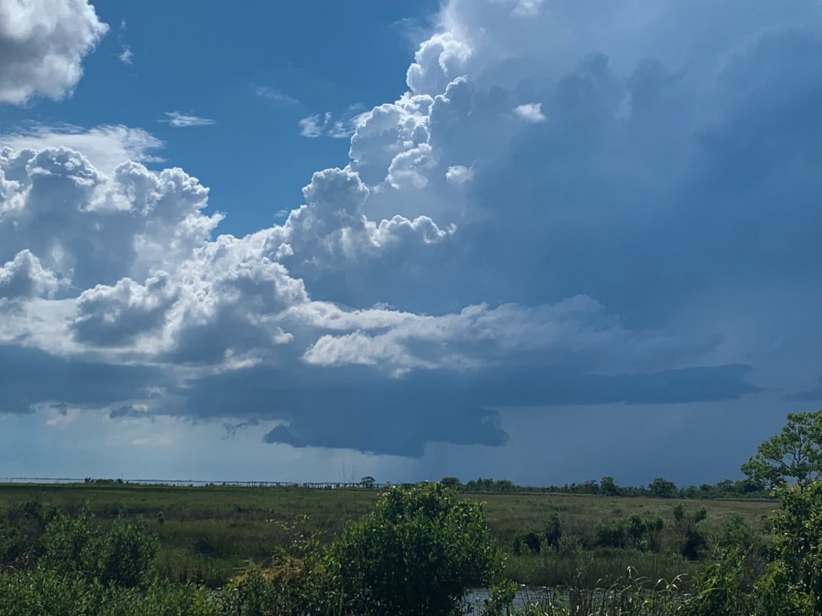 lolllsage's tweet image. first time ever seeing a wall cloud